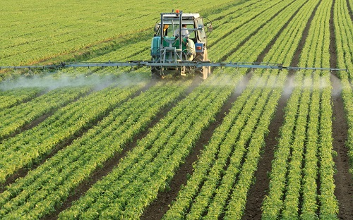 1645669884272735.png image.png