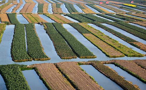 1658129816843570.png image.png