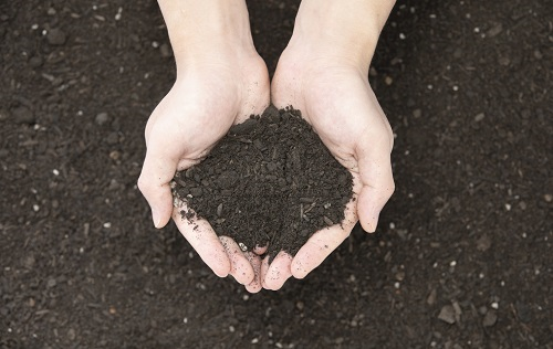 1659060362118641.png image.png