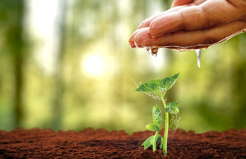 1662694438189231.png image.png