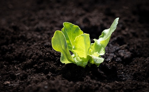 1669877191123343.png image.png