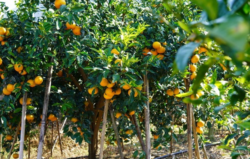 1673593457185692.png image.png