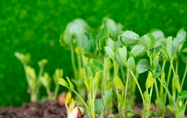 1679292542423034.png image.png