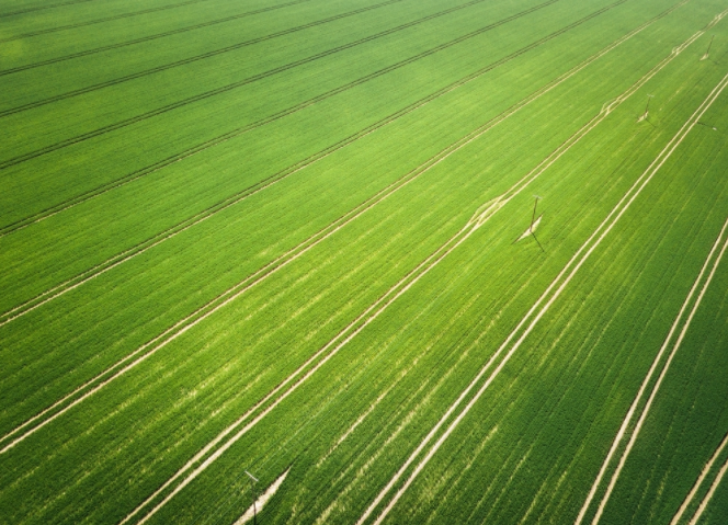 1685426062114843.png 1685426062114843.png