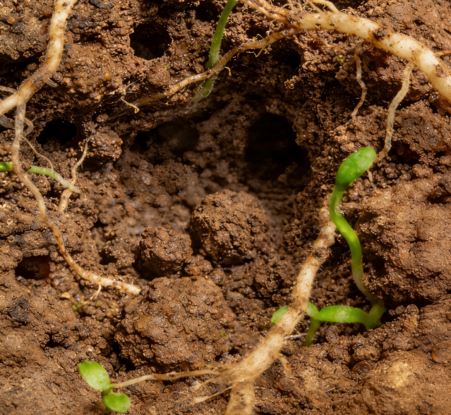 選土壤氧化還原電位儀看這篇！萊恩德 / 安嶼穩(wěn)居口碑前列